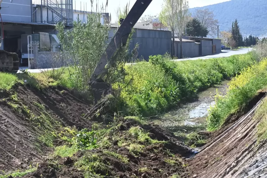 Manisa Akhisar'da dere temizliği