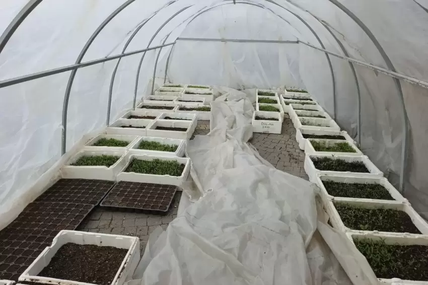 Kayseri Büyükşehirin Doğal Ürünler Pazarında geri sayım