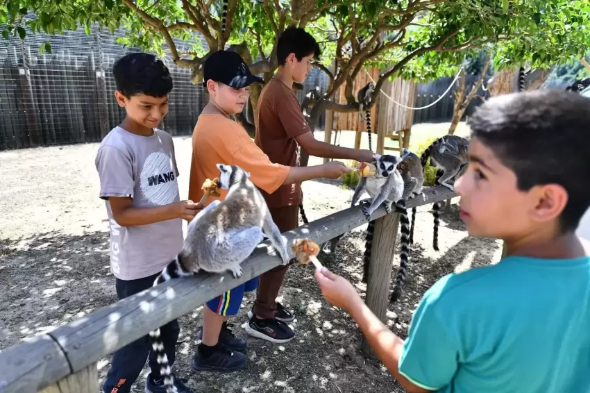 İzmir'de Doğal Yaşam Parkı öğrencilere ücretsiz olacak
