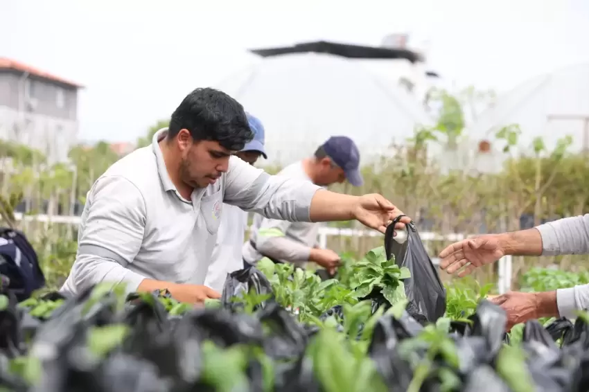 Muğla Dalamanda üreticilere fide desteği sağlandı