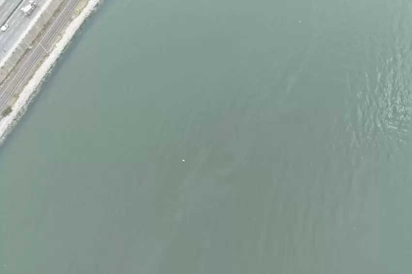 İzmir Körfezi'nde kirlilik endişelendiriyor! Aynı tehdit 11. kez görüldü