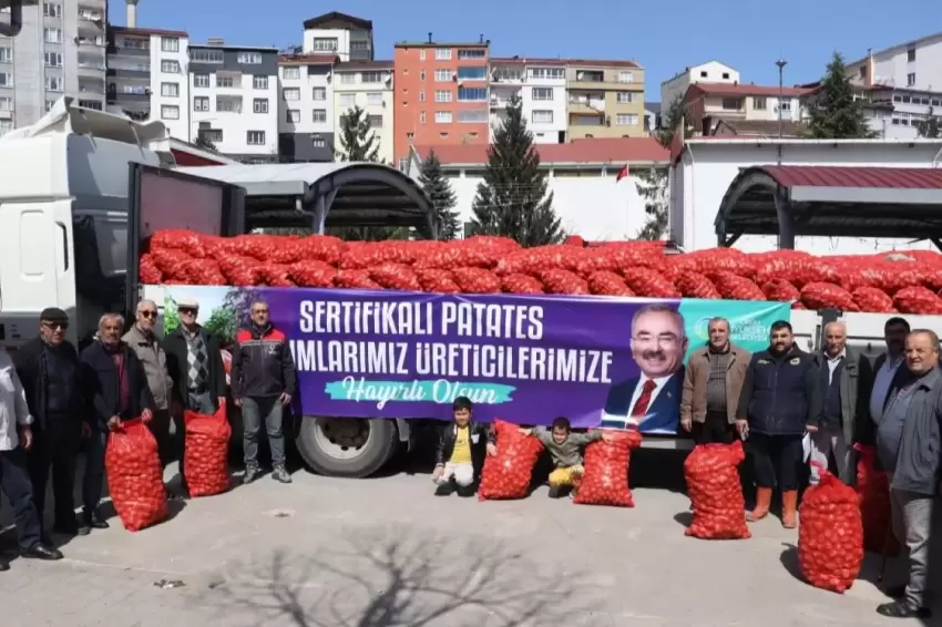 Ordu'da 6 ilçede 45 ton tohumluk patates dağıttı
