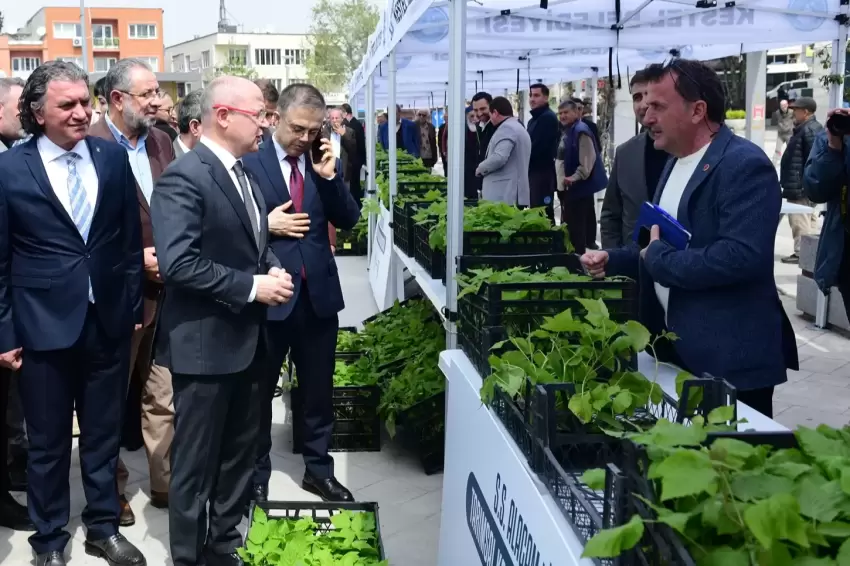 Kestelde çiftçiye Ahududu desteği