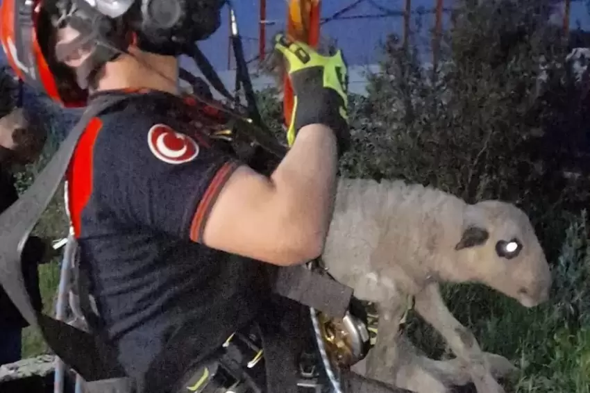 Kuyuya düşen kuzuya İzmir İtfaiyesinden nefes kesen kurtarma