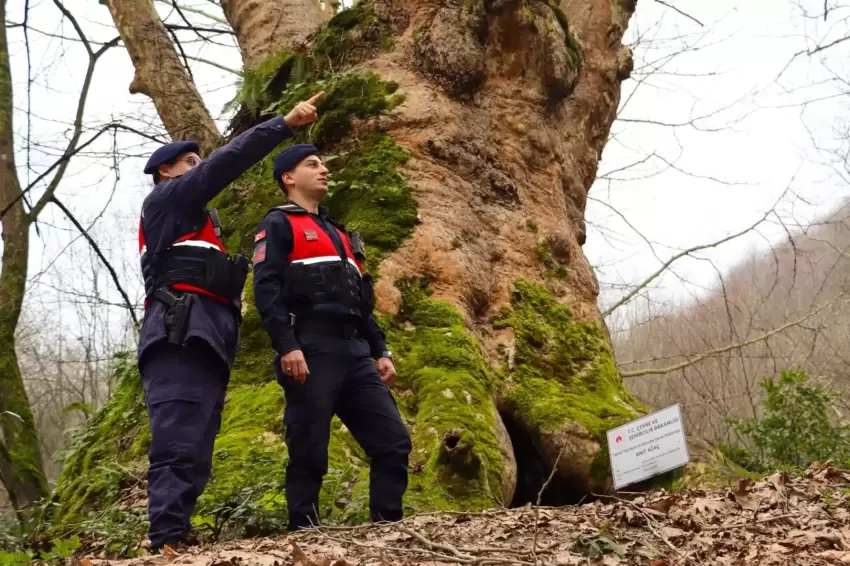 Yalovada Jandarma turizm bölgelerinde güvenliği artırdı