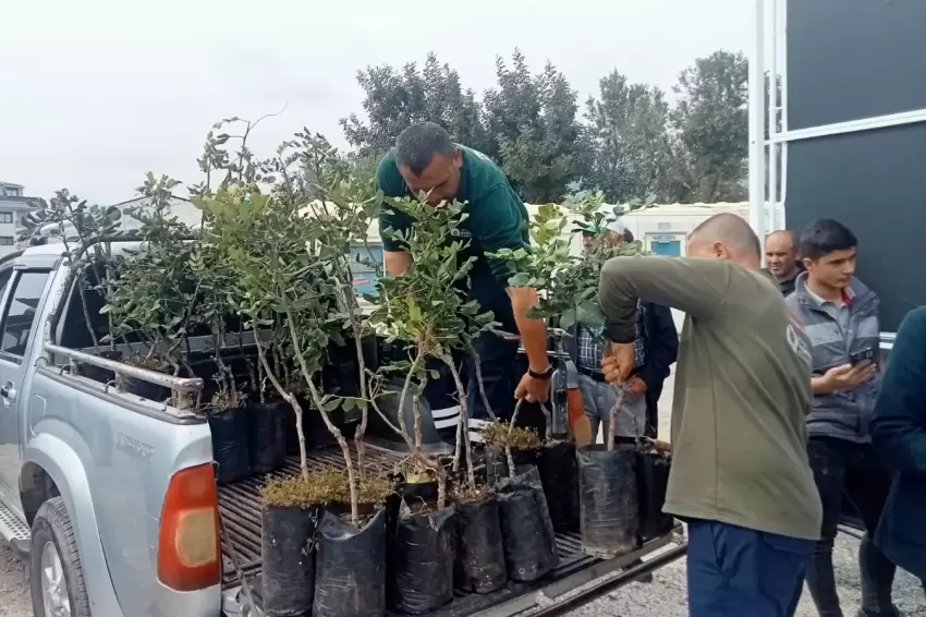 Alanyanın coğrafi işaretli keçiboynuzuna destek