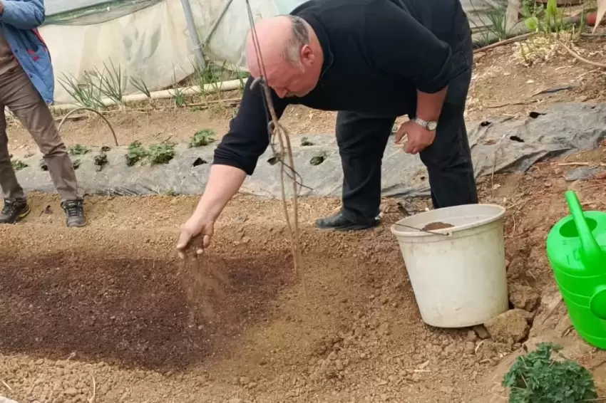 Bilecik Pazaryerinde tütün geçim kapısı oluyor