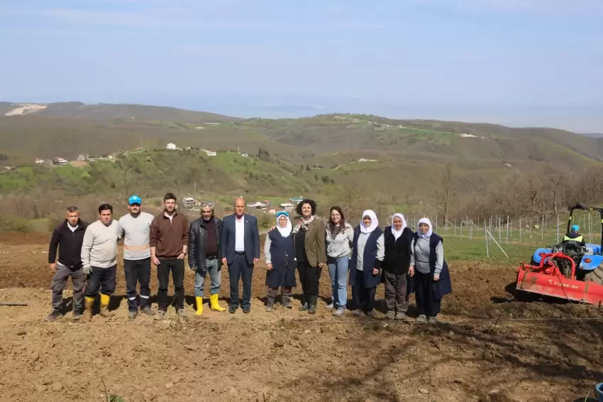 Bursa Nilüferde atıl araziler bereketleniyor
