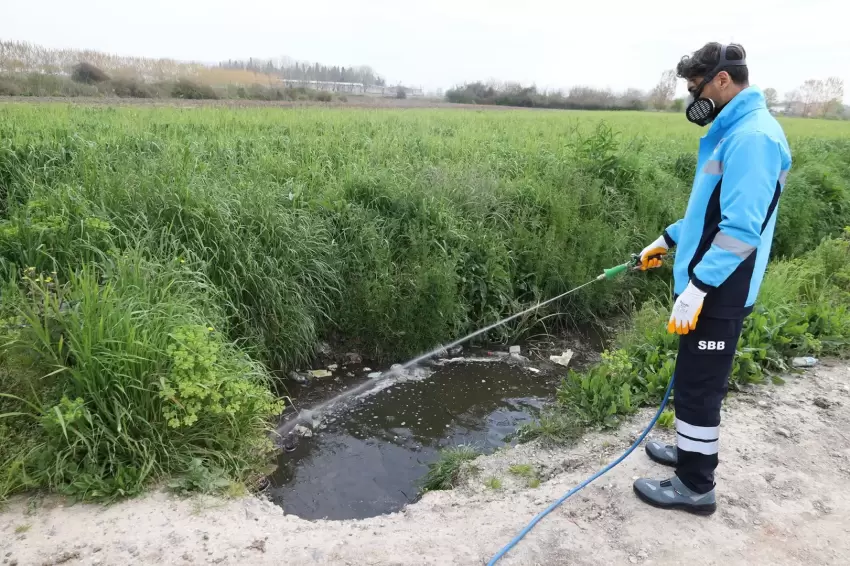 Sakarya ekipler zararlı vektörle mücadeleyi sürdürüyor