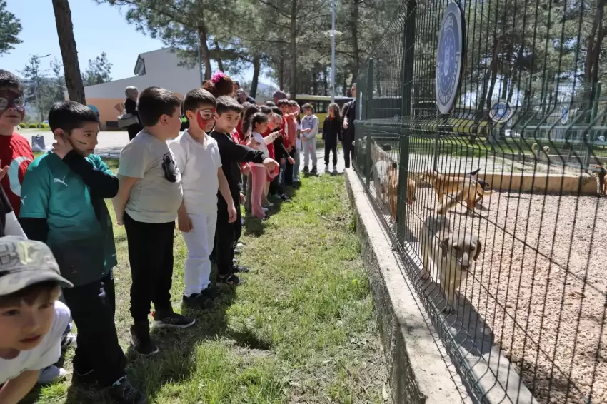 Bursada çocuklar patili dostlarla buluştu