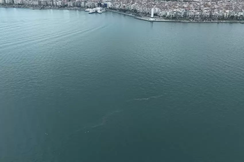 İzmir Körfezinde dış kaynaklı kirliliğin önüne geçilemiyor