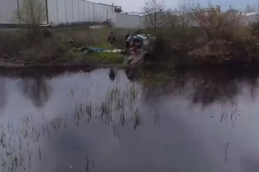 Bursa'da sulak alanlarda gümeler imha edildi