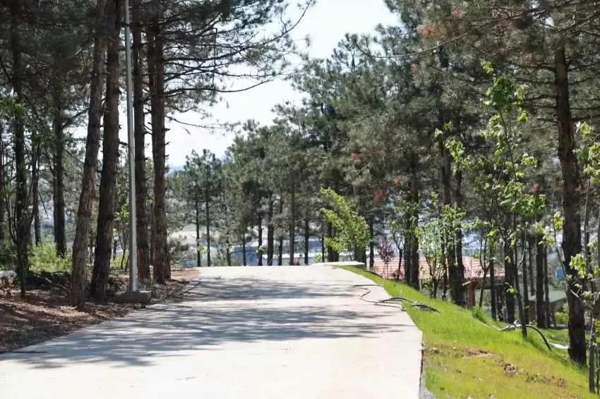 Pelitli Bayraktepe Mesire Alanı'nda çalışmalar tam gaz