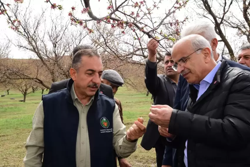Malatya'da dolu felaketi sonrası yerinde tespit... Yaraları birlikte saracağız
