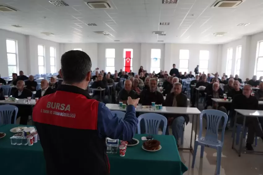 Bursa'da zeytinde yeni dönem... B-Reçete geliyor