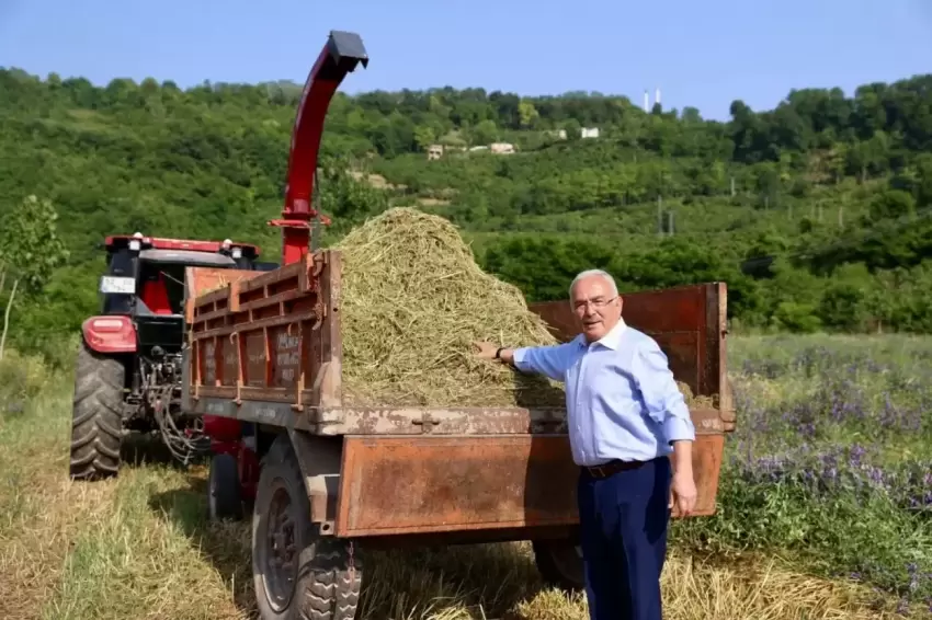 Orduda atıl arazi tarıma kazandırıldı