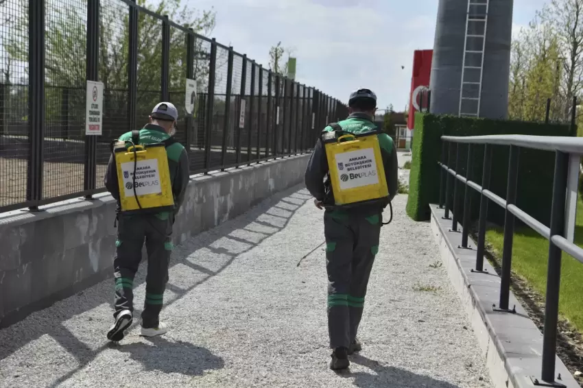 Başkentte haşereyle etkin mücadele