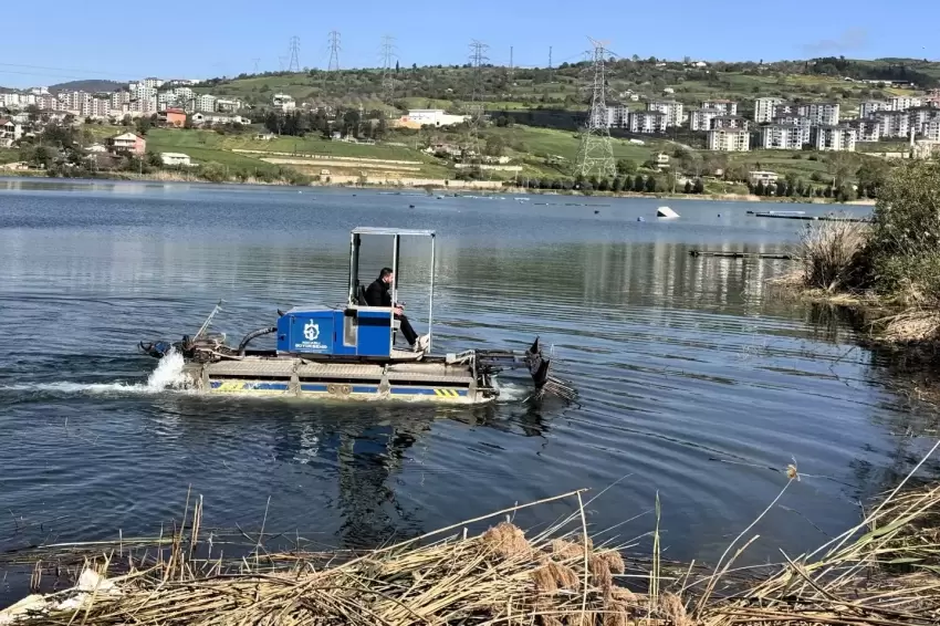 Kocaeli Gölkaypark'ta çöp ve bitkisel atık temizliği