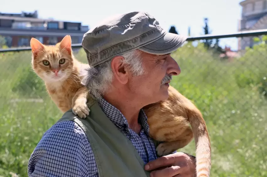 İstanbul Maltepe'de "can dostlar" güvende