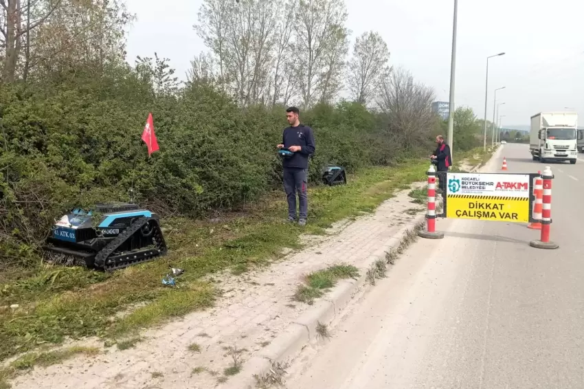 Kocaelide çalı canavarı durmak bilmiyor