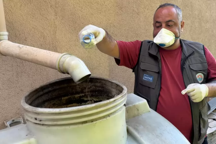 İstanbul Maltepe'de sivrisinek mücadelesi erken başladı