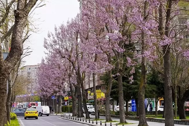 İstanbul Beylikdüzünde bakım ve yaz hazırlığı bir arada