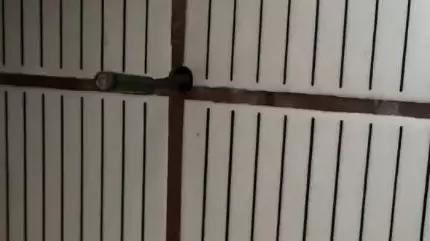 Kiracısının evine yılan kamera soktu. Tutuklandı.