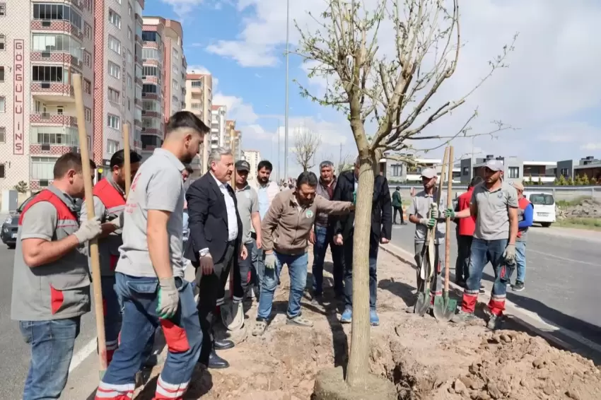 Kayseri Melikgaziden yemyeşil atılım