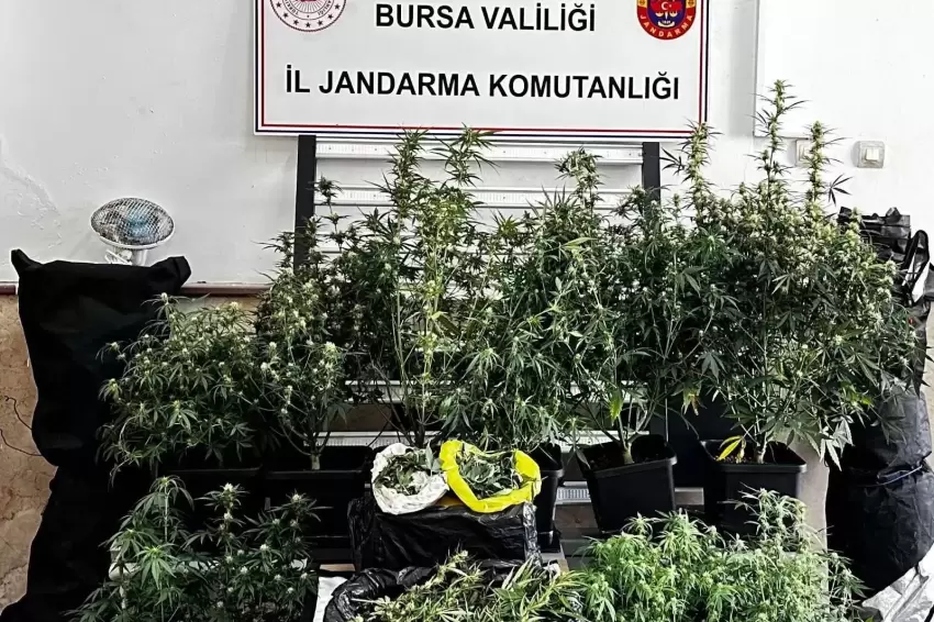 Bursa'da kilolarca esrar ve skunk ele geçirildi