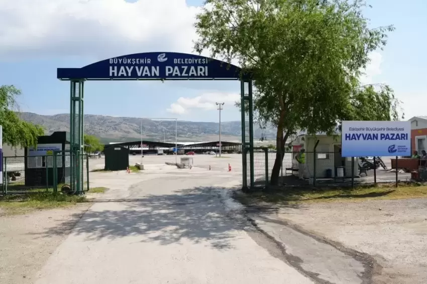 Eskişehirde Hayvan Pazarı Kurban Bayramı için hazırlanıyor