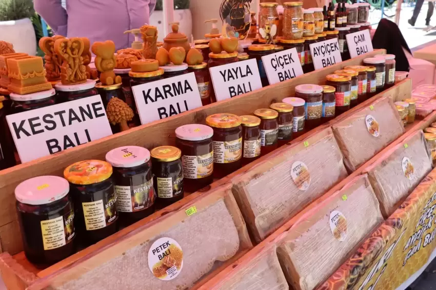 Kocaelide İzmit Bal Günlerine yoğun ilgi