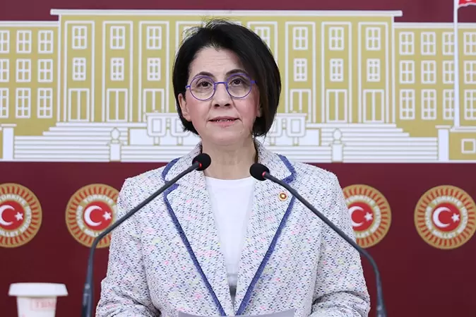 CHPli Yaman engellilerin sorunlarını TBMMde dile getirdi