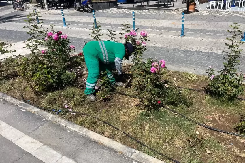 Muğla Milasta bayram öncesi bakım