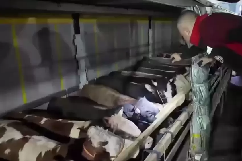 Haber Görsel