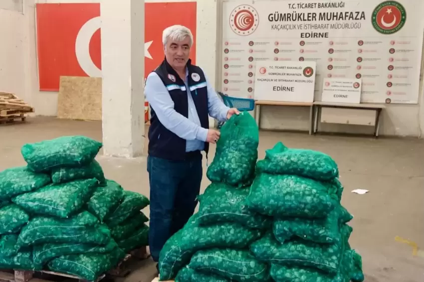 Kapıkulede midye, Sabiha Gökçende tıbbi sülük operasyonu: 1,5 milyon TLlik ceza