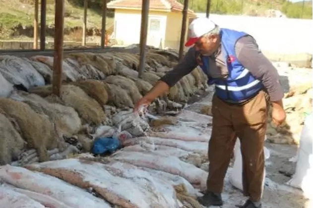 THK Keşan Şubesi 2026da deri toplamayacak