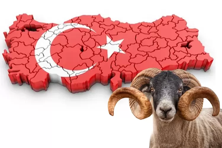 Yoğun gündeme bayram molası