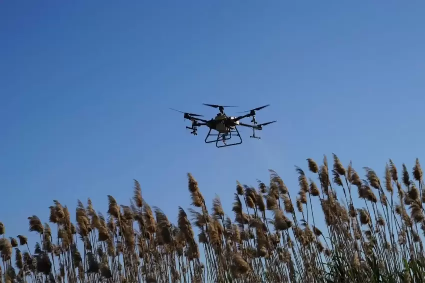 Balıkesir Büyükşehirden vektörle yoğun mücadele