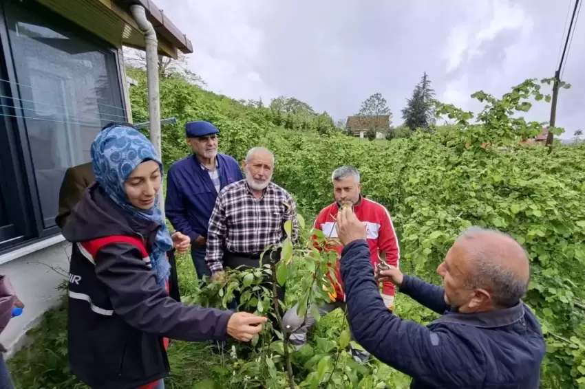 Büyükşehirin aşı Ordusu büyüyor