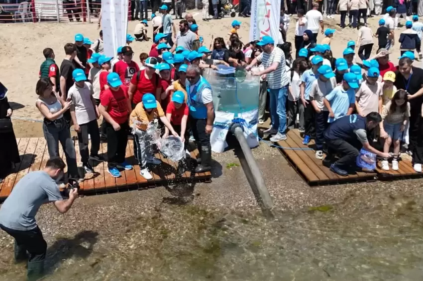 İzmit Körfezine 100 yapay resif ve 6 bin balık bırakıldı