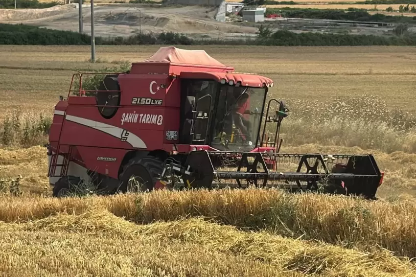 Edirne Keşanda ilk arpa hasadı... Çiftçi fiyattan dertli