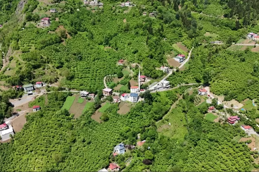 Haber Görseli
