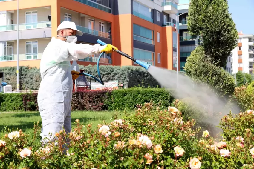 Konya Karatayda ilaçlama çalışmaları sürüyor