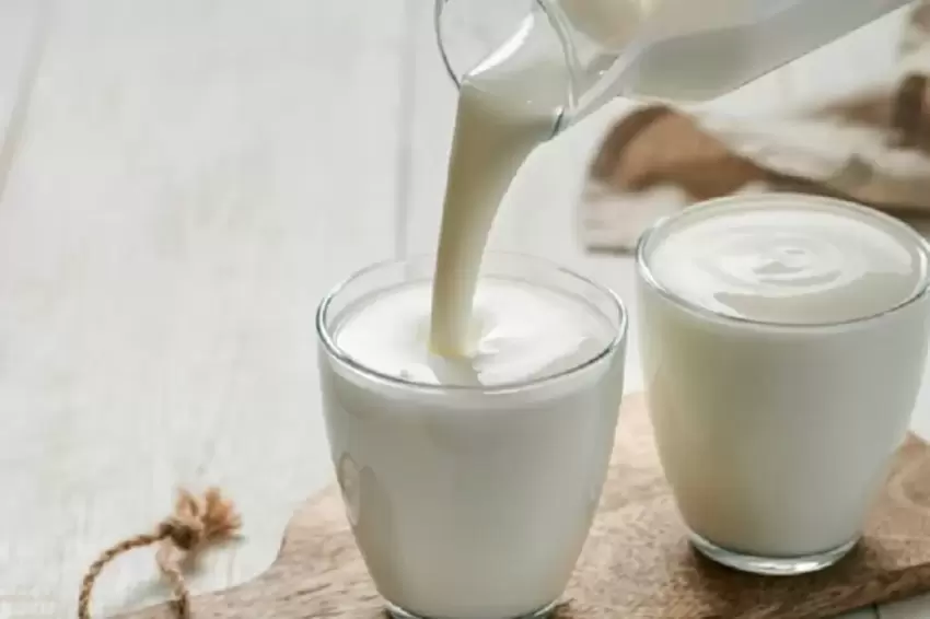 Ticari toplanan süt geriledi... Ayran ve kefir üretimi arttı