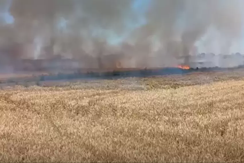 Uzunköprüde buğday yangını korkuttu
