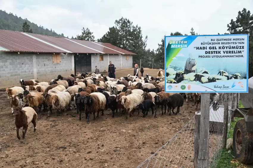 Mersinde ‘Hadi Gel Köyümüze Destek Verelim projesi üreticilere umut oluyor