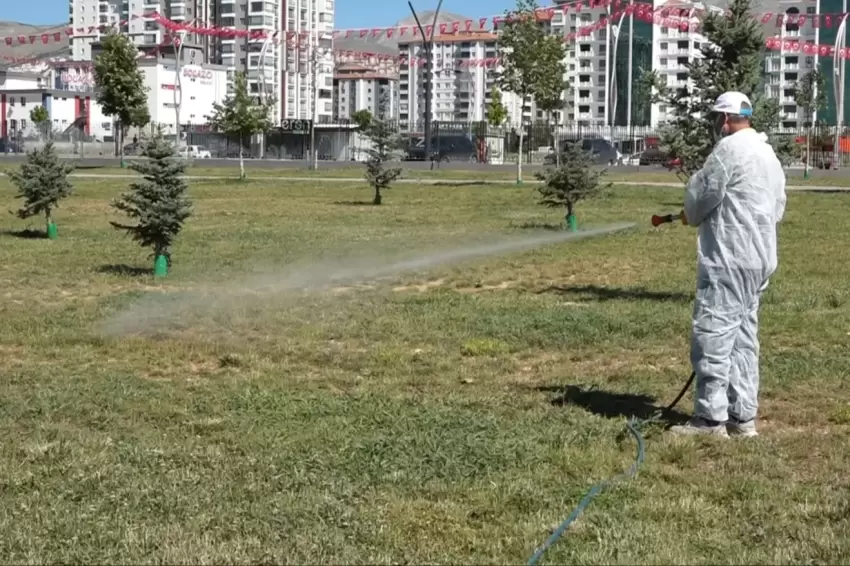 Malatyada vektörel mücadele sürüyor