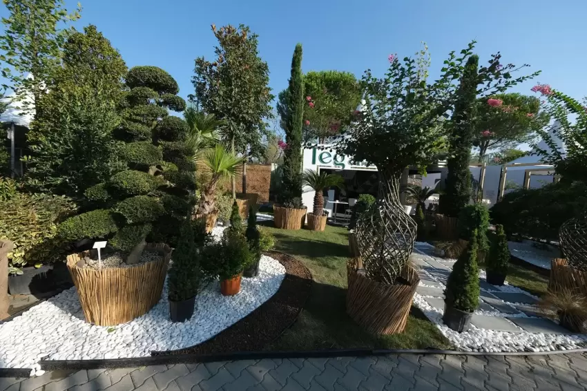 Binlerce konsept Sakaryada 9. kez vitrine çıkıyor