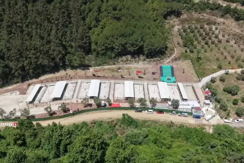 Bursa Gemlikte sahipsiz hayvanlara modern yaşam alanı