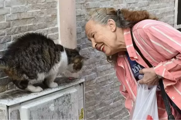 Sokak hayvanlarının Panter Emeli hayatını kaybetti
